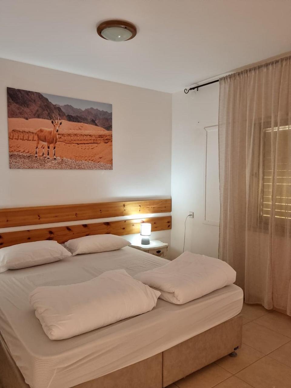 Elifaz Desert Experience Holiday Exterior photo