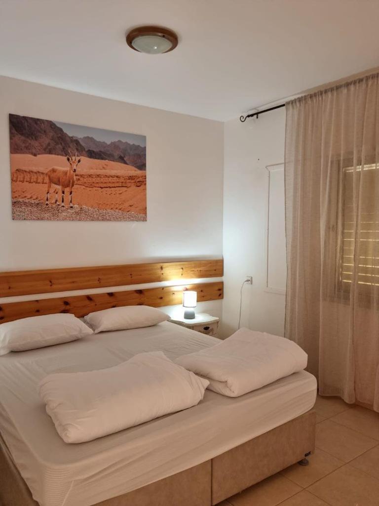 Elifaz Desert Experience Holiday Exterior photo